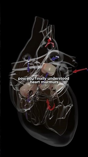 Finally Understand Heart Murmurs