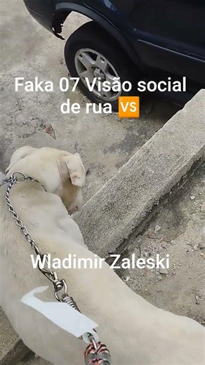 Fabiano Araújo #sp #sp #noticias #arte #noticia #automobile #podcast #pixo #memes #pichacao