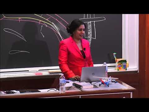 Lecture 6: The Flight Environment