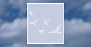 Haley L. Lee Obituary December 23, 2025 - Herman Funeral Homes & Crematory