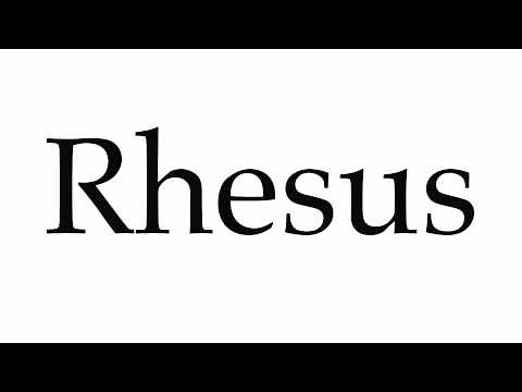 How to Pronounce Rhesus