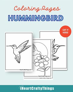 Hummingbirds are nature’s tiny, colorful wonders! 🌸 Now, you can bring them to life with these 25 stunning, free-to-print hummingbird coloring pages. From intricate designs to simple outlines, there’s something for everyone-kids, adults and all coloring lovers! 🌈 What You’ll Get: ✅ Beautiful hummingbird illustrations 🖍️ ✅ Realistic & cartoon styles ✨ ✅ Printable & FREE! 💻🖨️ ✅ Perfect for relaxing or crafting sessions 🖌️ Print & color your favorite hummingbirds today! Get the full collectio