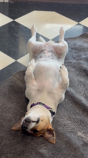 35 reactions · 3 comments | Tidda - meditating | Kathryn Libby Rose | Facebook