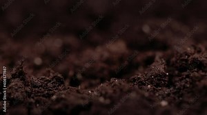 Macro shot of earth. Humus compost ground. Concept of agriculture farm, growing, eco earth, clean