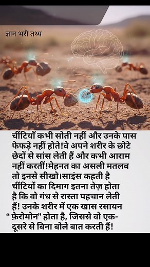 1.9M views · 9.2K reactions | "Ants Never Sleep! The Hidden Science Behind Their Super Strength " #AntFacts #ScienceReel #AmazingNature #AntPower #MindBlowingScience #AnimalScience #DidYouKnow #IncredibleFacts #NatureSecrets #BiologyFun #AntsWorld #ScientificFacts #HardWorkLesson #SmartCreatures #ScienceExplained #facebookviral #facebookreelsviral #facebookpost #makeuphack | ज्ञान भरी तथ्य | Facebook