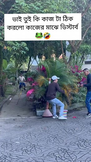 ভাই তুই কাজ টা একটু পরে করলেও পারতিস 🐸🤣 #shortsreels #fypviralシ #foryoupagereels #fypageシ #fypシ #comedy #funnyreels #funny #Amazing #short | Maruf Editing