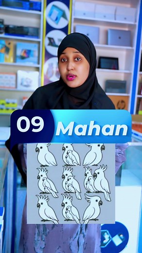 Meeqa Shimbir: Xaliye Computers iyo Electronics