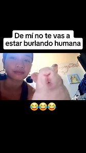 115K views · 4.6K reactions | Que falta de respeto  #broma #funnymoments #comedia #hracioso #funnyreels #pareja #funnyvideos #BromasYChistes #funnyedit #bromasgraciosas #parati #bromasdivertidas #bromaspesadas #bromastelefonicas #bromas #bromasalemal #funny #funnymemes #funnyreelsvideo #funny | El tren del m4m3 | Facebook