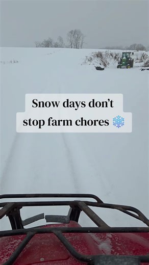 Snowy farm days ❄️ #farmlife #winterfarm #snowstorm