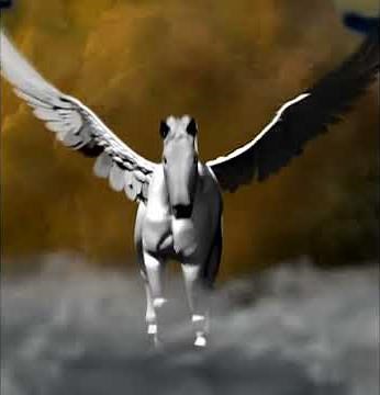 TriStar Pictures 1995 Box (CTT Version)