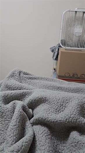 No one can meow like me #cat#meow