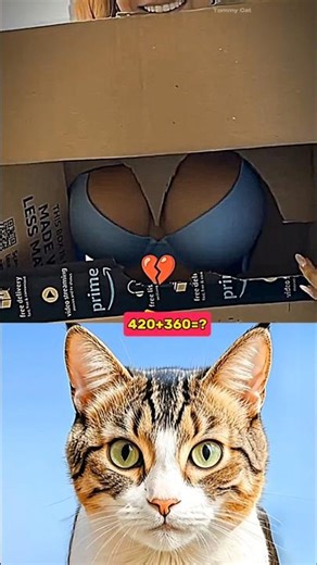 FUNNY GIFT BOX PRANK 😂🎁 #funny #cat #dance #shorts #prank