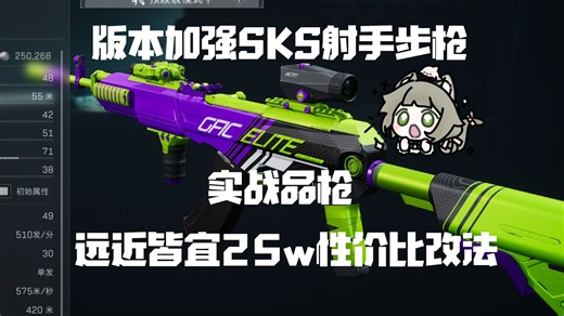 最便宜的金弹，4w的裸枪！版本加强性价比SKS实战分享