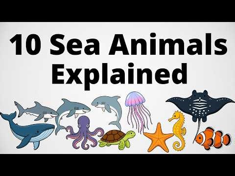 10 Amazing Ocean Animals | Deep Sea Creatures and Marine Animals