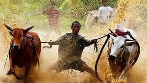 25 of the Most Hilarious Beach Fails You'll Ever See