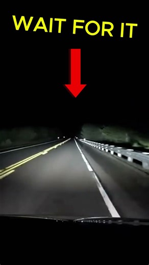 Terrifying Night Drive Deer Appears Out of Nowhere Caught on Dashcam