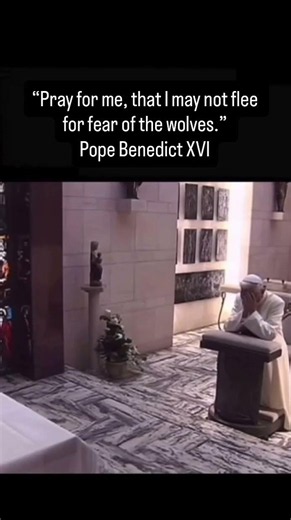 Pope Benedict XVI and the Weight of the Papacy #PopeBenedictXVI #jesus #catholic