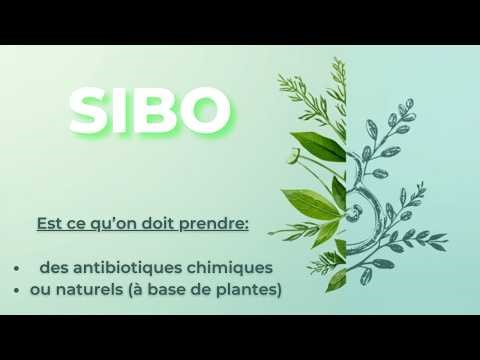 SIBO: Should we take chemical or natural (plant-based) antibiotics?