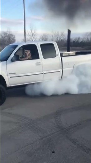 Anything of mine is my dogs he can do whatever he wants