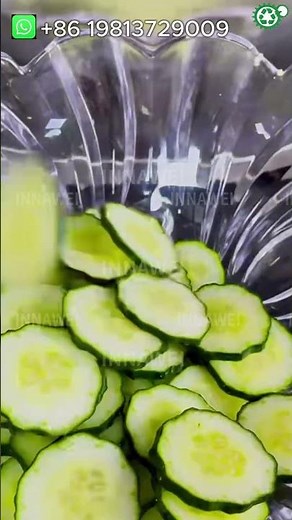 Vegetable Cutter Machine Potato Strip Shred Machine Carrot Slice Machine Onion Dicer Machine
