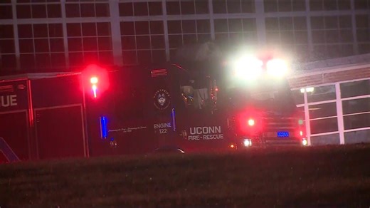 4 sheep killed in barn fire at UConn