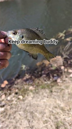 pb over here