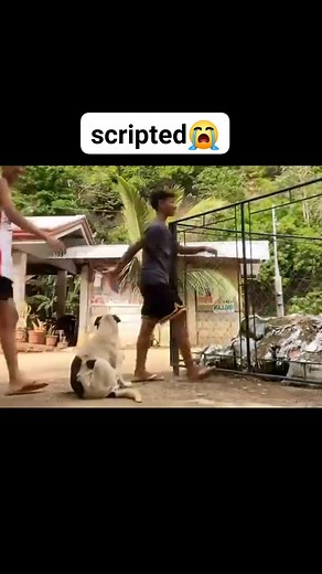 SCRIPTED NAMAN TO #fypchallenge #reelschallengereelschallenge #reelsviralシfb | Chester Aruta