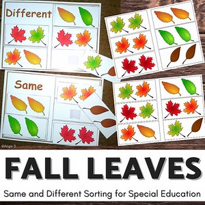 Fall Leaves Activity Speech Therapy Activity Same and Different Sorting Autism