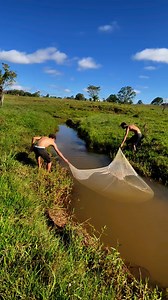 55K views · 751 reactions | Atrás dos lamba | Guilhermecolognezi | Facebook
