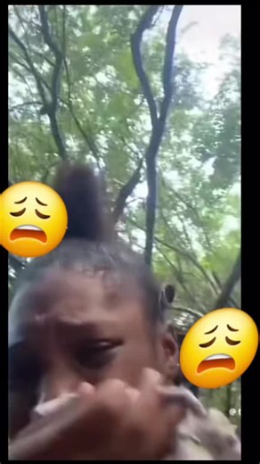 Exploring Jamaican Ant Species: Black and Red Ants