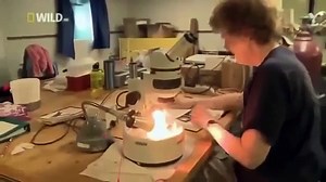 Amazing Creatures & Fish of the Deep Ocean Sea Full documentary [Wildlife Documentary] - video Dailymotion