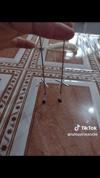 Lalitos truckin on TikTok