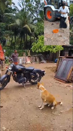 ആ നന്ദി അന്നും ഇന്നും അവറ്റകൾ ഉണ്ട്........!!