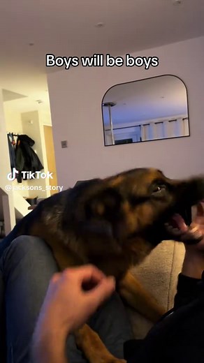 Playtime with My German Shepherd: Endless Joy