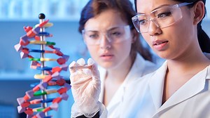 Let’s learn about DNA