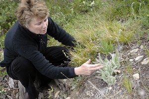 Biomimicry Toolbox: Your guide to applying nature’s lessons to design challenges #Biomimicry #Biohacking