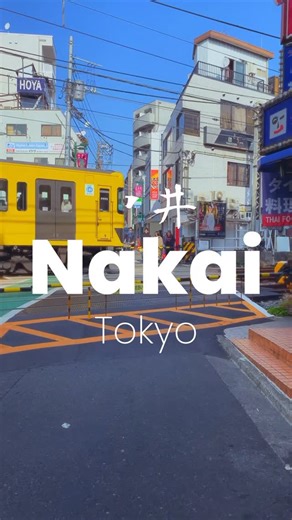 dekitabi on Instagram: "👘 Located in Shinjuku Ward, this cozy neighborhood offers a blend of tradition and modernity.l 🎨 Stroll along the serene Myoshoji River, once used to wash freshly dyed cloths, and immerse yourself in the local culture. 🌊 #ExploreTokyo #DiscoverTokyo #TokyoLife #TokyoTravel #TokyoTrip #TokyoAdventure #JapanTravelGuide #JapanTravel #TravelJapan #ExploreJapan #TraditionalJapan #VisitJapan #JapanTrip #dekitabi"