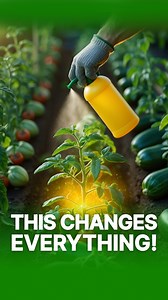 1.6K views · 25 reactions | These 3 secret fertilizer hacks will change the way you garden! ✨ Healthier soil, stronger plants, and way better harvests. #FertilizerHacks #SecretGardeningTips #HealthySoil #OrganicFarming | Growing Healthy Food | Facebook