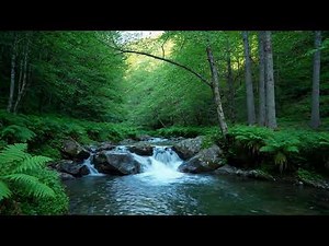 💧Deep Sleep with River & Brook Sounds | Stress-Free Soundscape 💤 24/7 Babbling Brooks Part 4664