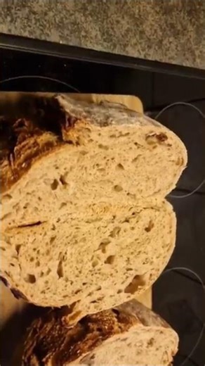 Chestnut Sourdough Bread - Winter Edition 🤤 #sourdough #sauerteig