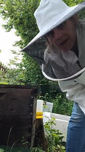 37K views · 887 reactions | Making splits. Doing tricks. Not really on the tricks part. But def making money. #moneymaker #splits #beekeeping #hive #life #YES #beekeeper #queens | Mueller Honey Bee | Facebook