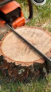 Safe Camping Fire in a Stump | Science, Tech and Universe