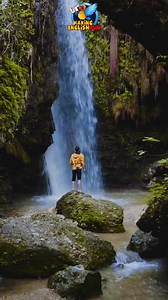 Alexander Pope Warns Against Half-Knowledge "A little learning is a dangerous thing." –Alexander Pope  Ever experienced the pitfalls of incomplete knowledge? Share your lesson. https://i.mtrbio.com/rjgdemammf #HalfKnowledge #AlexanderPope #LifelongLearning #GandhiWisdom #education #educationalpurposes #educationtiktok #educationalvideo #inspirational #inspirationalquotes #inspirationalvideo #inspirationalquote #inspirationalvideos #inspirationahead | Making English Fun | Facebook