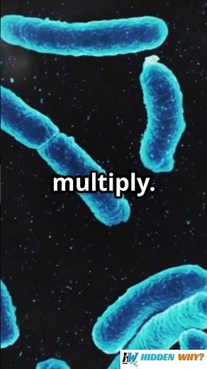 How Do Antibiotics Work to Fight Bacterial Infections?