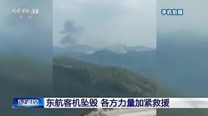 Details of crashed Boeing 737-800 and China Eastern Airlines