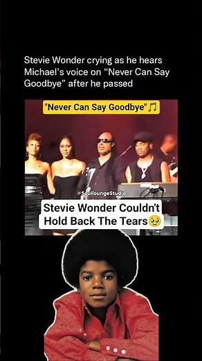 Stevie Wonder Couldn't Hold Back the Tears as Michael Jackson's Song Played After His Passing (2009)