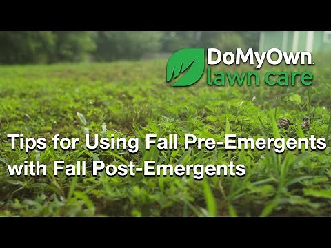Using Fall Pre-Emergents with Fall Post-Emergents | DoMyOwn.com