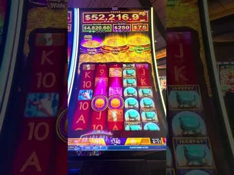 COYOTE MOON “BIG WIN! This game is growing on me…