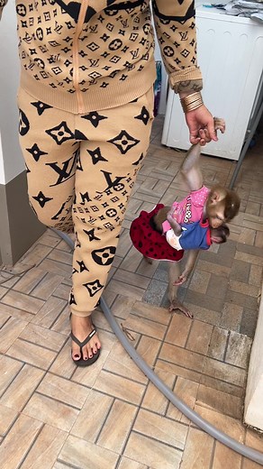 53K views · 697 reactions | Sara Sit Behind Mom On Motor Alike Lil Human Kid #baby #monkey #Babymonkey | Monkey Harry's Family | Facebook