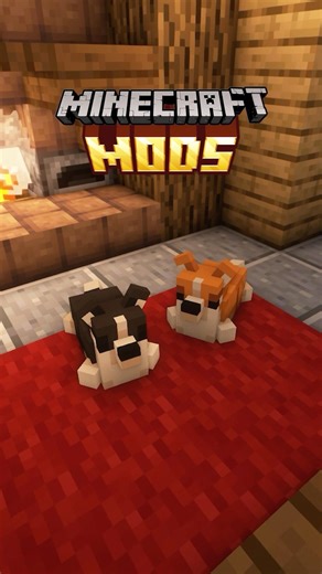 Ambient Addition with Zoo Animals in Minecraft #minecraft #minecraftmods #animals #pets